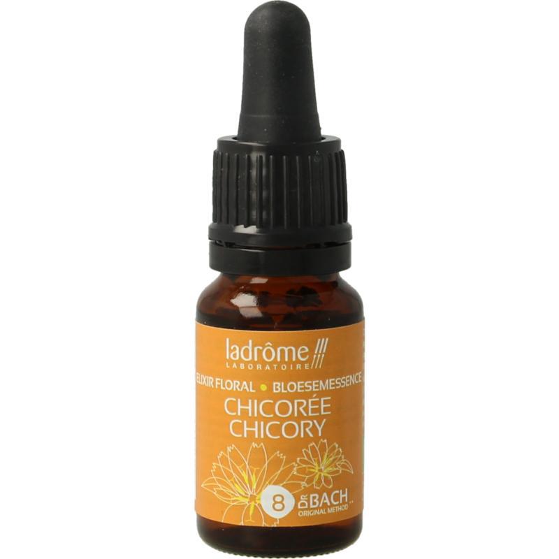 Chicoree chicory bio