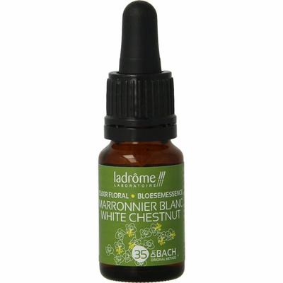 Ladrome White chestnut / paardekastanje bio