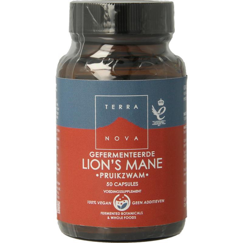 Gefermenteerde lion's mane (pruikzwam)