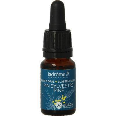 Ladrome Pine / Den 24 bio