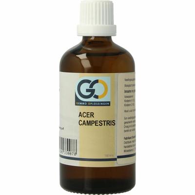 GO Acer campestris bio