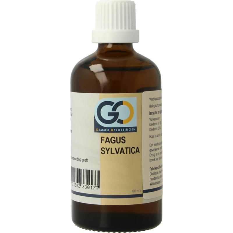 Fagus sylvatica bio