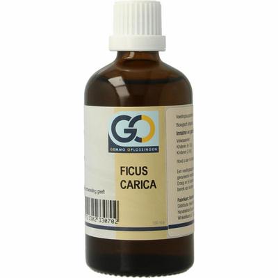 GO Ficus carica bio