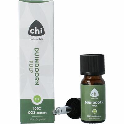 CHI Duindoorn pulp complex CO2 bio