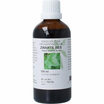 Cruyd Ribus nigrum & zwarte bes