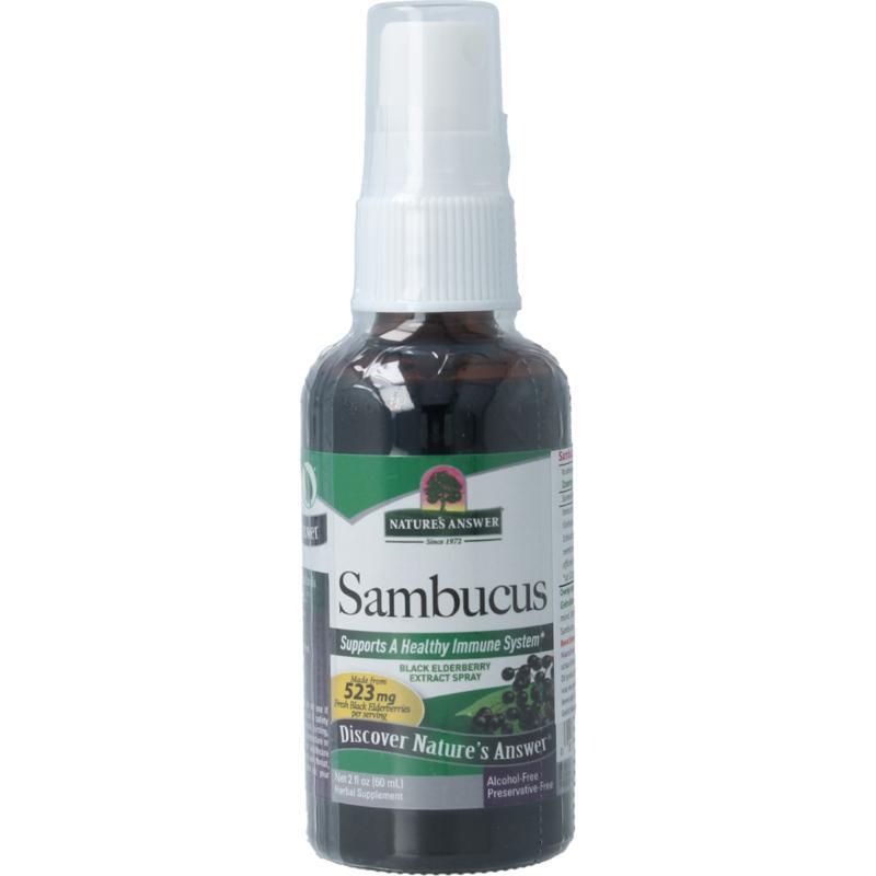Sambucus vlierbessen spray