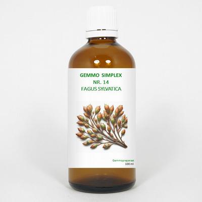 Balancepharma Gemmo simplex 14 fagus sylvatica