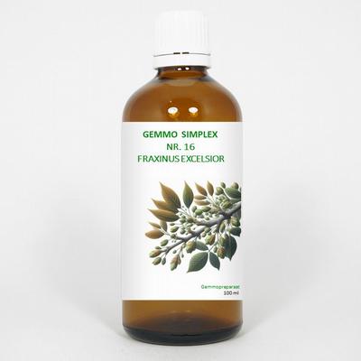 Balancepharma Gemmo simplex 16 fraxinus excelsior