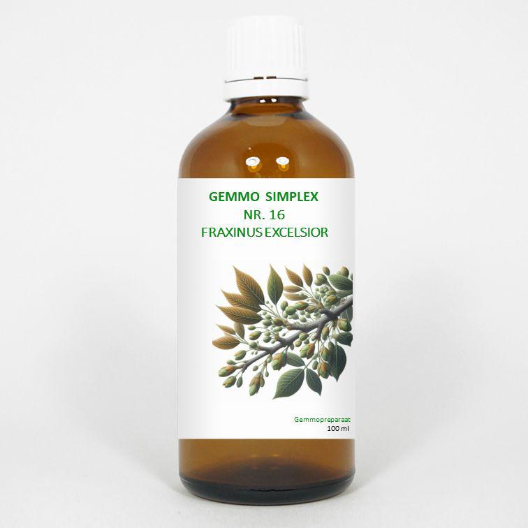 Gemmo simplex 16 fraxinus excelsior