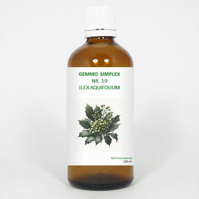 Balancepharma Gemmo simplex 19 ilex aquifolium