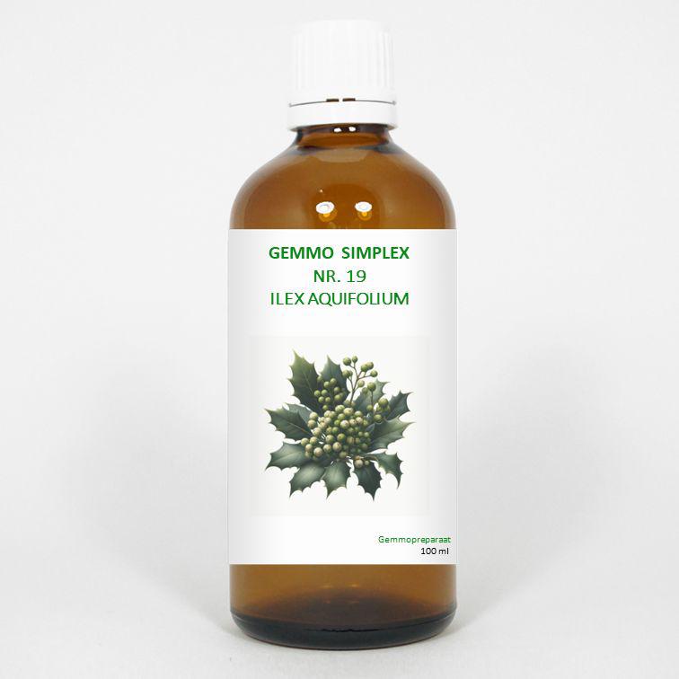 Gemmo simplex 19 ilex aquifolium