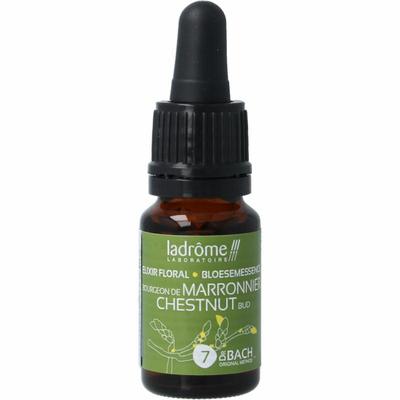Ladrome Chestnut bud bio