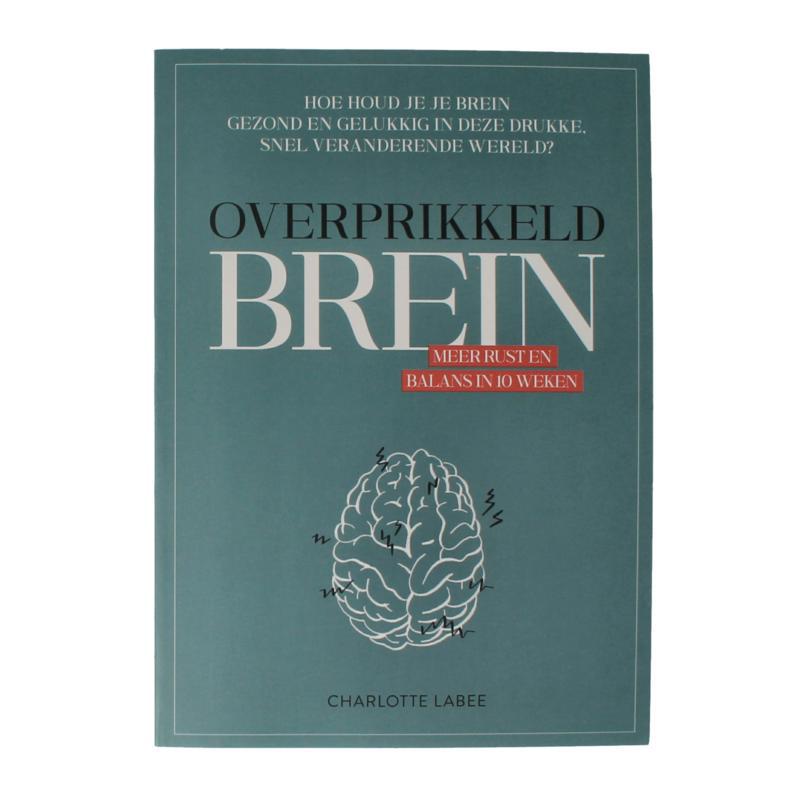 overprikkeld brein boek