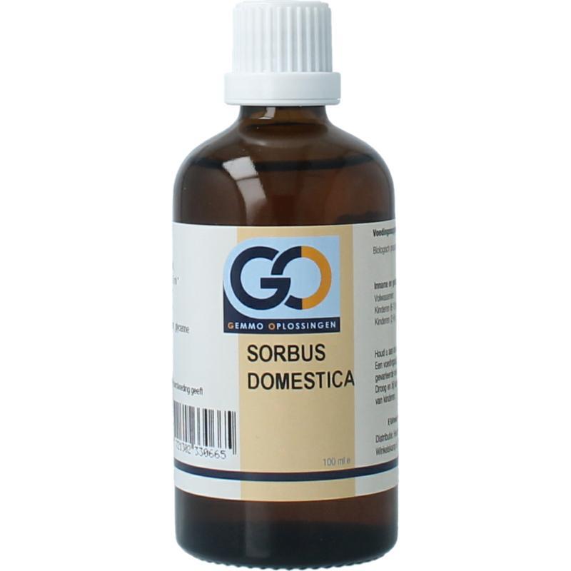 Sorbus domestica bio