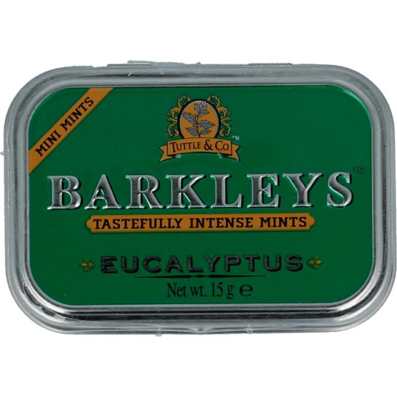 Mints mini eucalypus