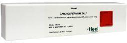 Cardiospermum creme