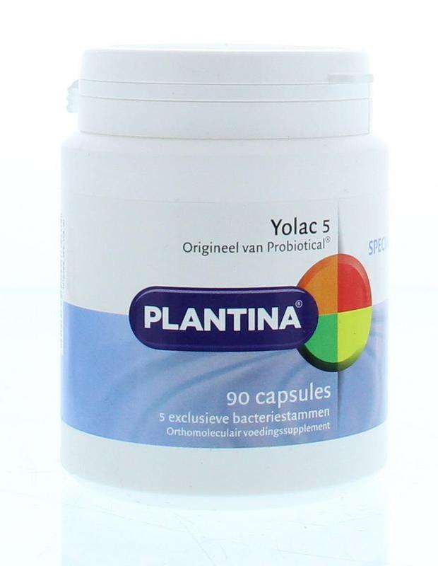 Yolac 5