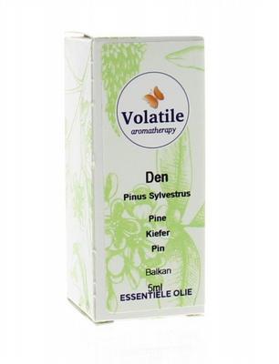 Volatile Den pinus sylvestrus