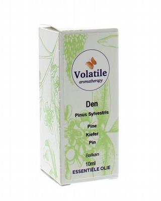Volatile Den pinus sylvestrus