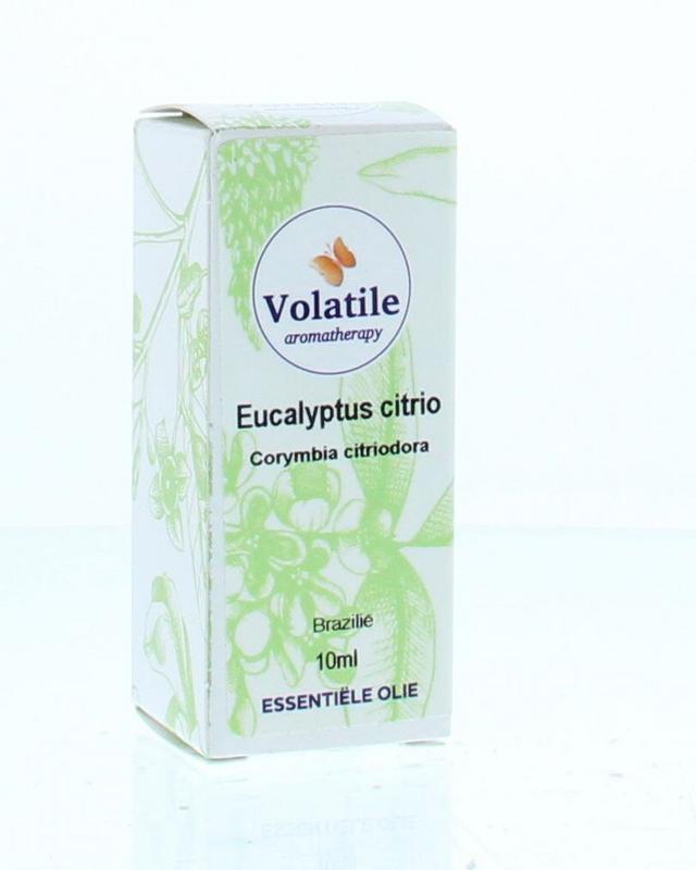 Eucalyptus citriodora