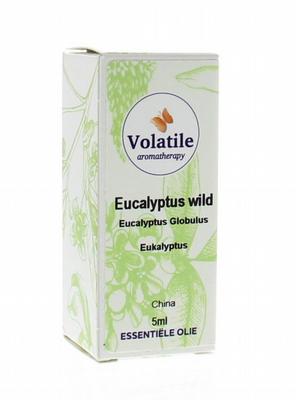 Volatile Eucalyptus wild