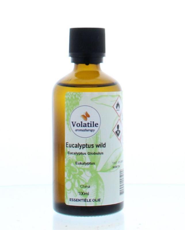 Eucalyptus wild