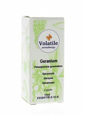 Volatile Geranium
