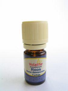 Volatile Roos Turkije