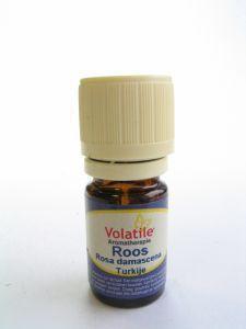 Volatile Roos Turkije