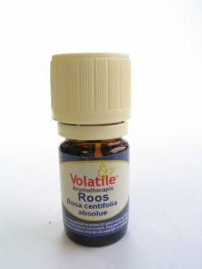 Volatile Roos absolue
