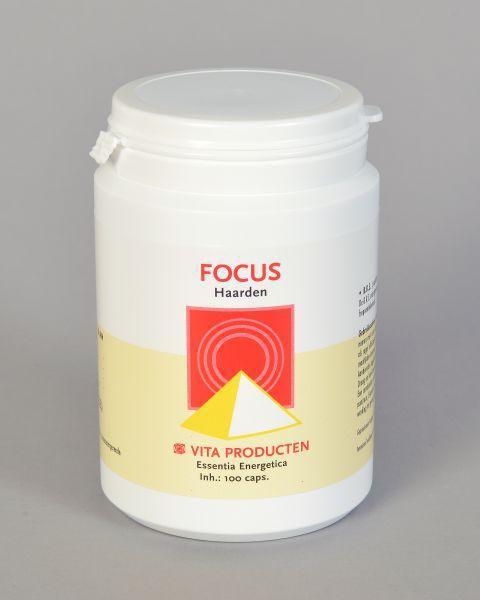 Focus