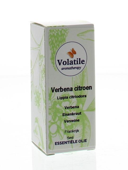 Verbena citroen