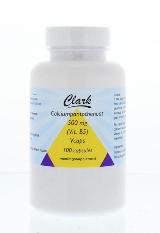 Vitamine B5 pantotheenzuur 500mg