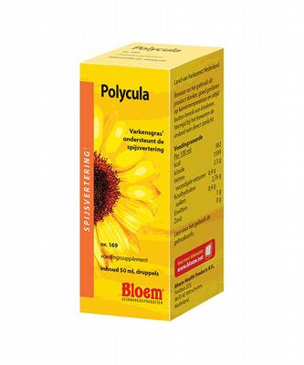 Bloem Polycula