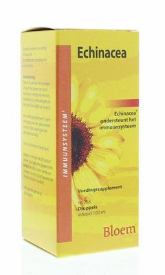 Bloem Echinacea