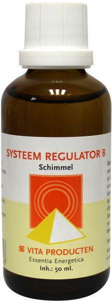 Systeem regulator B
