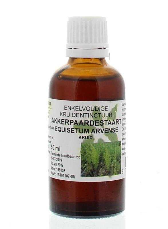 Equisetum arvense / akkerpaardestaart tinctuur