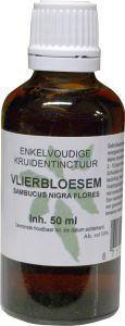 Sambucus nigra / gewone vlier bio