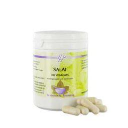 Holisan Salai