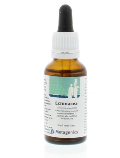 Echinacea