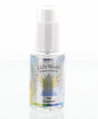 Lichtwesen Chamuel tinctuur 24