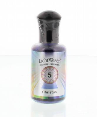 Lichtwesen Christus olie 5