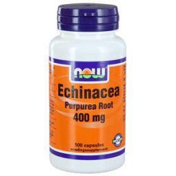 NOW echinacea 400mg - 100st