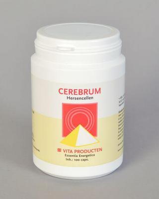 Vita Cerebrum