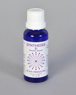 Vita Syntheses 31 meester knecht