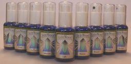 Lichtwesen set lichtwesen integr tinc sp> 9x30ml