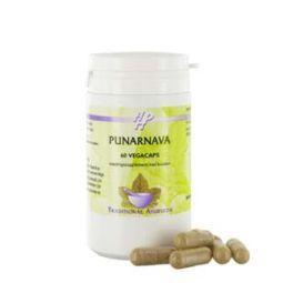Holisan Punarnava