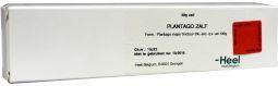 Homeoden Heel Plantago creme