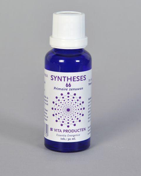 Syntheses 66 primaire zenuwen