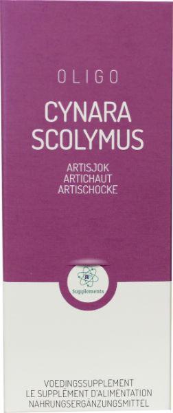 Cynara scolymus
